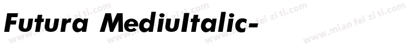 Futura MediuItalic字体转换
